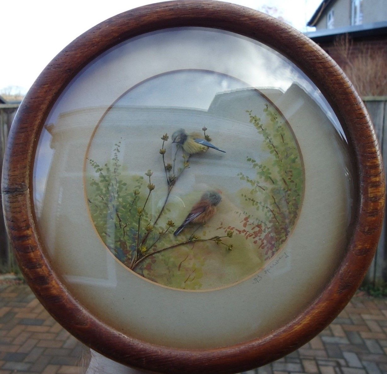 Bluetit and Linnet (5-inch)